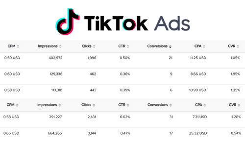 TikTok Ads Performance Results